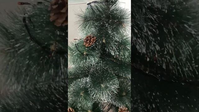 Сосна заснеженная с шишками? смотреть онлайн