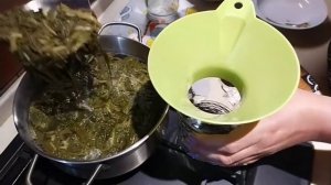 Заготовка щавеля на зиму.