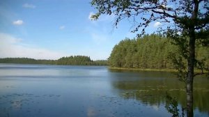 Красивое лесное озеро