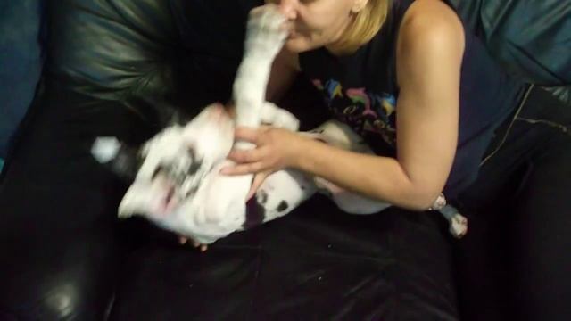 Малыш, вставай! смотреть онлайн