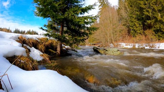 Calm Music For Sleep Meditation, Healing Therapy, Yoga | Успокаивающая музыка для сна, медитация смотреть онлайн