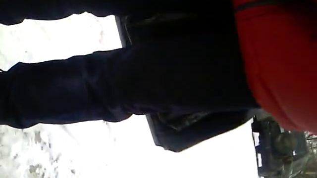 Комар!Зимой! Шок. смотреть онлайн