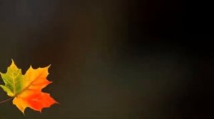 Осень, милая, шуршит.