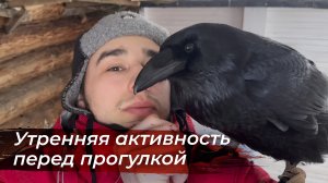 Новые игрушки у Гоши / Утренние дела и новости