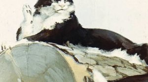 Щука и кот. Басня. И.А.Крылов.