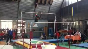 Луганск спортивная гимнастика .  Чемпионат области