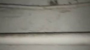 меняю лампу в подъезде своими руками.