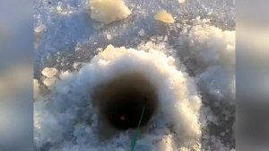 Ейск. Азовское море. Подледный лов тарани в Ейском лимане. Зимняя Рыбалка ?.