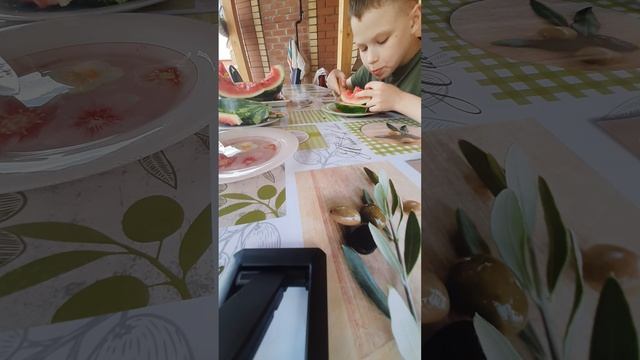 Пробуем арбуз!!!#арбуз#дегустирую#ягода#природа#лето#nature#хочуврек#счастье#дача#деревня#полазна смотреть онлайн