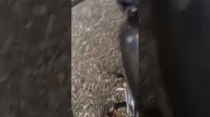 Первый запуск нового мотоцикла Минск