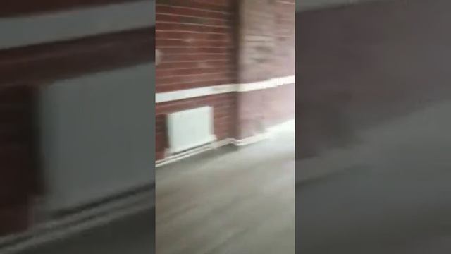 Аренда помещения Бауманская улица, 11