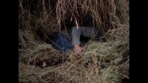 ПОЛЕТЫ ВО СНЕ И НАЯВУ: разбор фильма