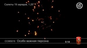 СС065019 Особо важная персона