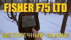 Тест на полигоне - Fisher F75 LTD (black)
