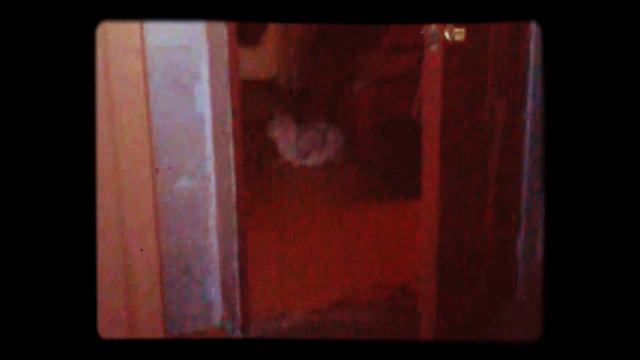 В доме чужой кот смотреть онлайн