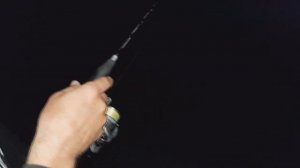 DAIWA CRUSADER GEKIATSU 4гр - универсальная приманка на море