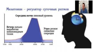 Циркадные ритмы человека 2020 04 17
