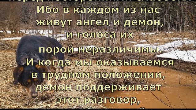 П Коэльо  О необходимости общения  Притча 29  Книга воина света #философскаяпроза#притчи