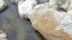 Зачем нужны концепция и планы? - пример родившийся на утренней пробежке.