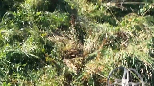 Выкопал мечту! Монета орел в облаках, хороший коп металлоискателем на поле, где старая ярмарка была смотреть онлайн