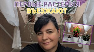Комнатные цветы ? Подарок необычные Орхидеи ? Просто Мария