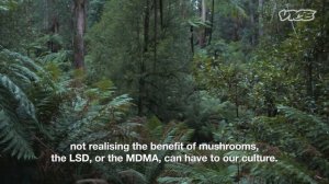 Foraging for Drugs in the Australian Bush