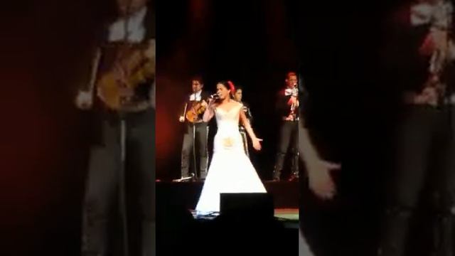 Gira QBA- Albuquerque/ Serenata Huasteca Danna Garcia