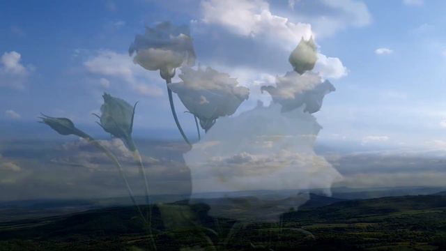 I literally made a Video Tutorial on Top of the Mountain Making ART on Top of the World was Amazin