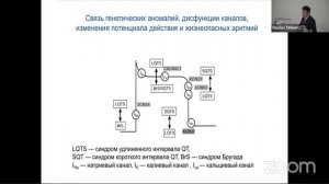 Желудочковые аритмии и внезапная сердечная смерть (критический обзор европейских рекомендаций 2022)