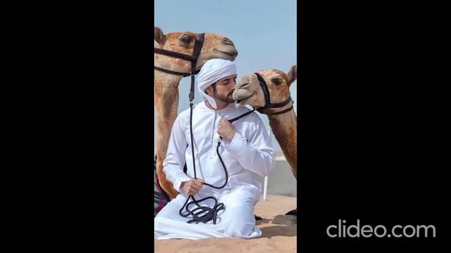 Rain ?️ on me | Fazza poems | Sheikh hamdan | Sheikh Hamdan’s poem   #fazza | Royal Family #dubai