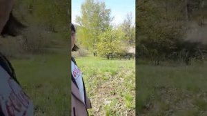 Весна на Кантемировском пруду.