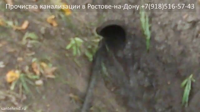 Эксперимент с длиной шланга плюс корни в трубе канализации смотреть онлайн