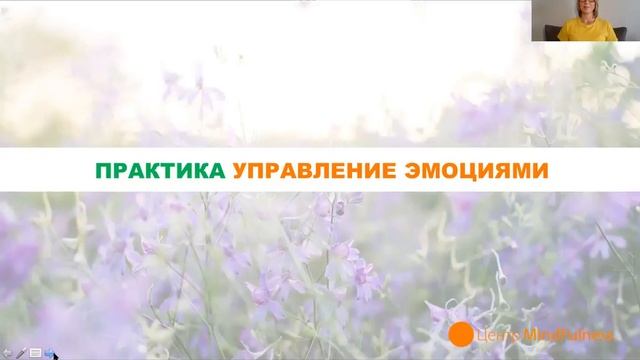 Лето в стиле mindfulness 3.0 - Неделя 3 - Эмоции. Практика управления эмоциями
