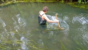 Как косить траву в реке)