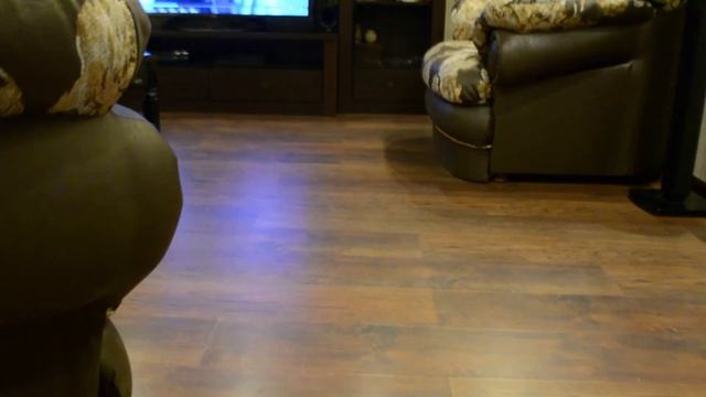 Как научить щенка лабрадора приносить игрушки. смотреть онлайн