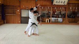 What is an Uchi deshi in Iwama.mp4