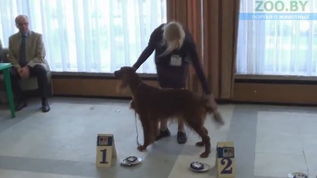 FCI -7 смотреть онлайн