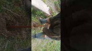 Буроям ручной, шнековый. Бурим ямку в режиме реального времени.