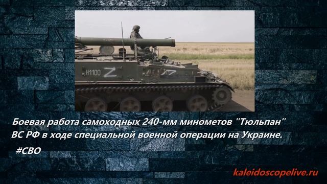 Боевая работа самоходных 240-мм минометов Тюльпан  ВС РФ в ходе специальной военной операции