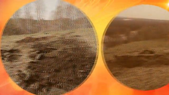 «Чёрный копатель» из Бийского района предстанет перед судом