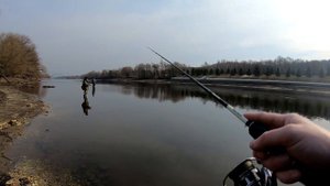 Чулково ● Крупный берш ● Микроджиг ранней весной ● Тест спиннинга Maximus Ichiro 20L 2-9g