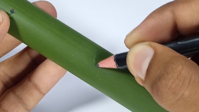 Survival toy made using bamboo смотреть онлайн