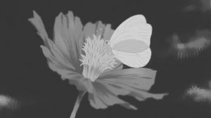 Платина - как в первый раз (slowed + reverb)