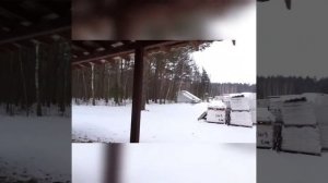 Предлагается к продаже имение в сосновом лесу.