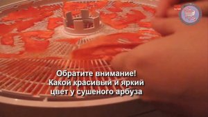 Сушеные арбузы. Арбузные чипсы, арбузная пастила