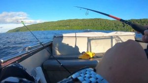 Ловля на БАНКУ - эффективный и простой способ поймать много ЛЕЩА!