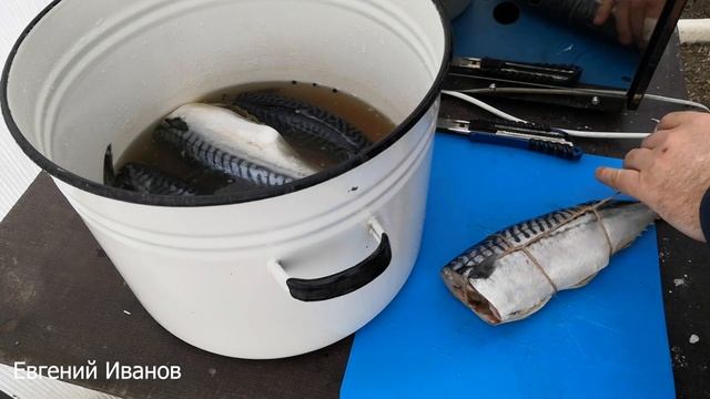 Скумбрия холодного копчения, самый детальный рецепт