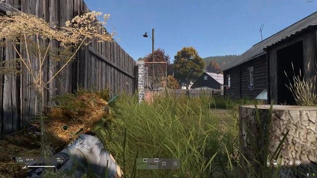 DayZ