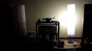Audio Note. Звуки Му. Бумажные цветы. LP