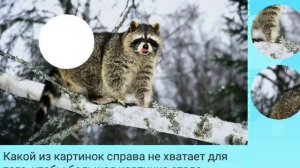 Развиваем логику.Развивающие игры для детей.Coil Software.